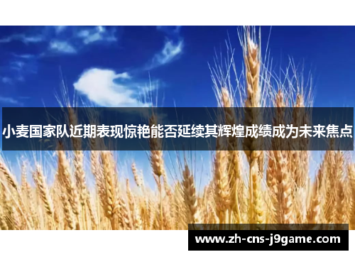 小麦国家队近期表现惊艳能否延续其辉煌成绩成为未来焦点