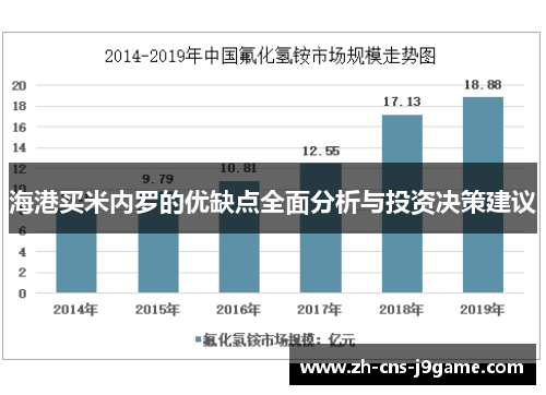 海港买米内罗的优缺点全面分析与投资决策建议 海港买米内罗的优缺点全面分析与投资决策建议